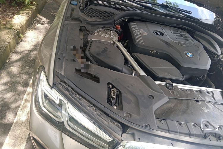 Used BMW 5 Series 2021 530Li Leading Model M Sport Package Engine Bay Right