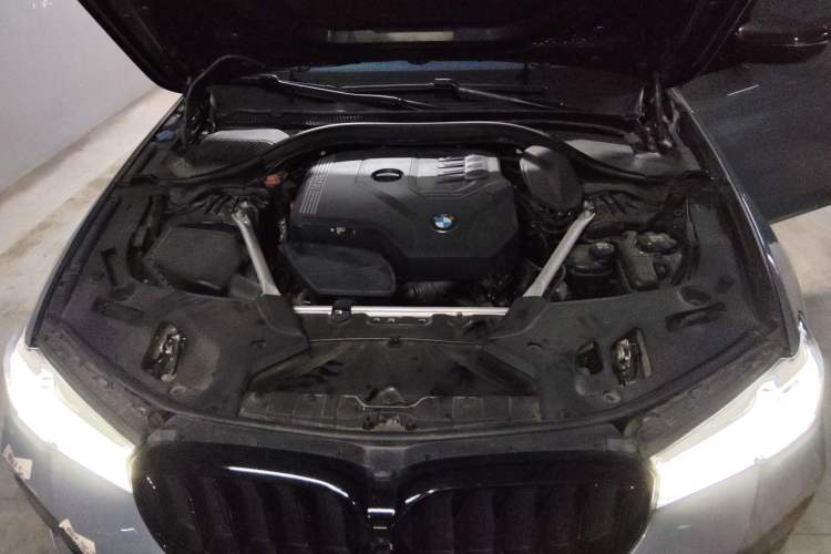 Used BMW 5 Series 2021 530Li Luxury Edition M Sport Package Engine Bay