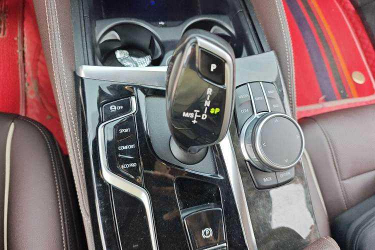 Used BMW 5 Series 2021 Facelifted 525Li M Sport Package Gear Lever