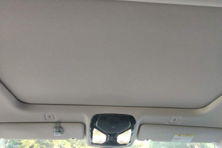 Used BMW 5 Series 2021 525Li Luxury Package Headliner