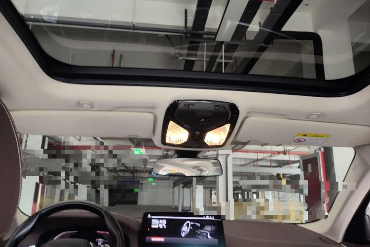 Used BMW 5 Series 2021 530Li Leading Luxury Package Headliner