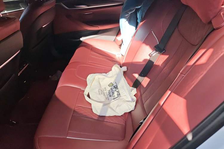 Used BMW 5 Series 2021 530Li Leading Model M Sport Package Left Rear Seat