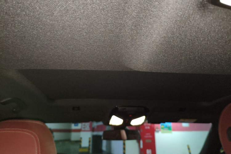 Used BMW 5 Series 2021 525Li M Sport Package Headliner
