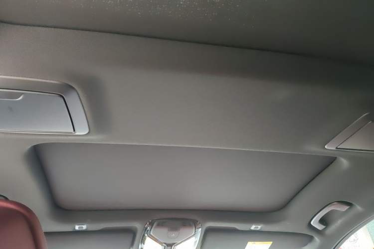 Used BMW 5 Series 2021 530Li Leading Model M Sport Package Headliner