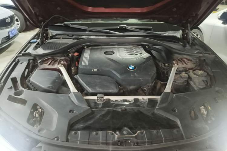 Used BMW 5 Series 2021 530Li Luxury Edition M Sport Package Engine Bay
