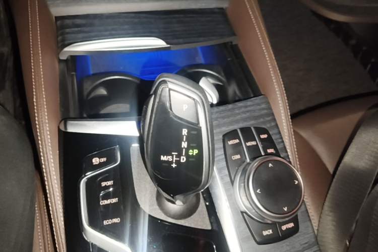 Used BMW 5 Series 2021 530Li Luxury Edition M Sport Package Gear Lever