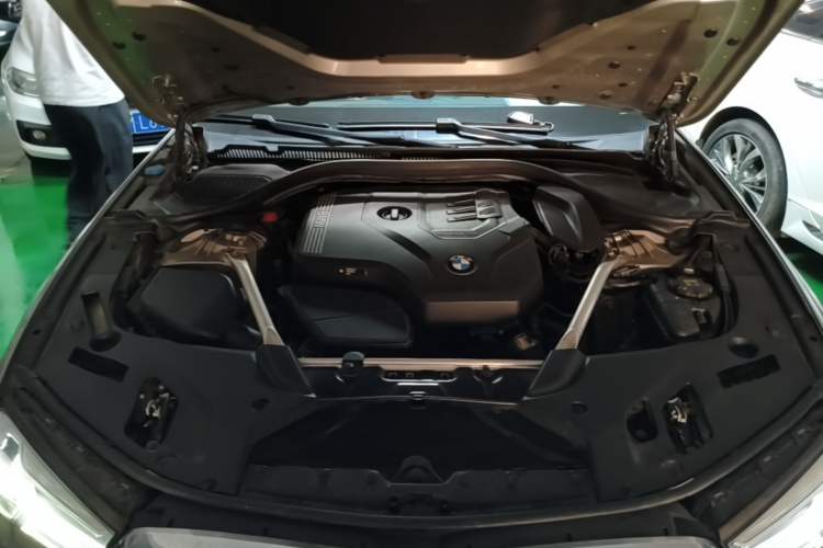 Used BMW 5 Series 2021 Updated Version 525Li Luxury Package Engine Bay