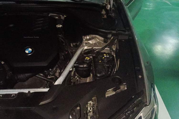 Used BMW 5 Series 2021 530Li Luxury Edition Premium Package Engine Bay Left