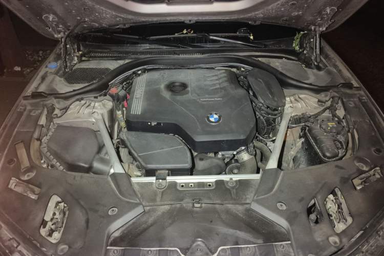 Used BMW 5 Series 2021 525Li Luxury Package Engine Bay