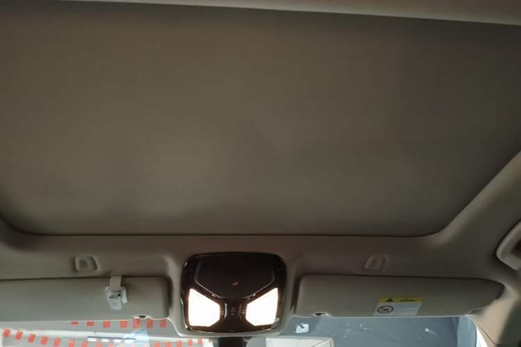 Used BMW 5 Series 2021 Updated Version 525Li Luxury Package Headliner