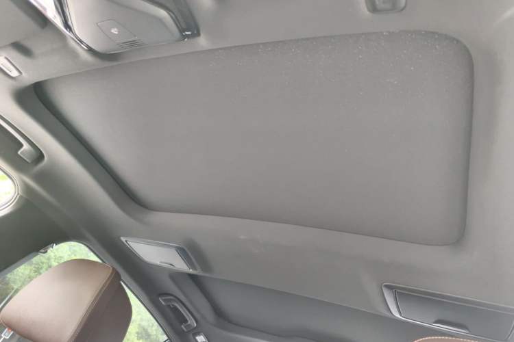 Used BMW 5 Series 2021 530Li Luxury Edition M Sport Package Headliner
