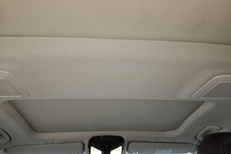 Used BMW 5 Series 2021 530Li Leading Luxury Package Headliner