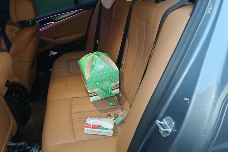 Used BMW 5 Series 2021 530i Sport Line M Sport Package Left Rear Seat