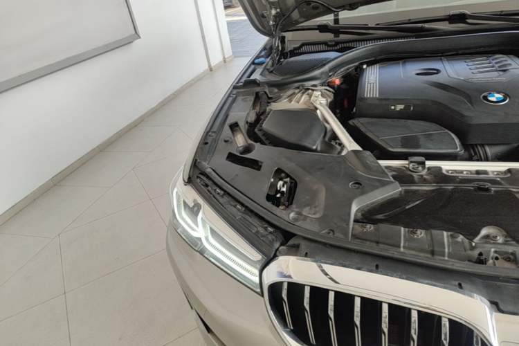 Used BMW 5 Series 2021 530Li Leading Luxury Package Right Front Headlight