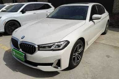 Used BMW 5 Series 2021 530Li Leading Luxury Package