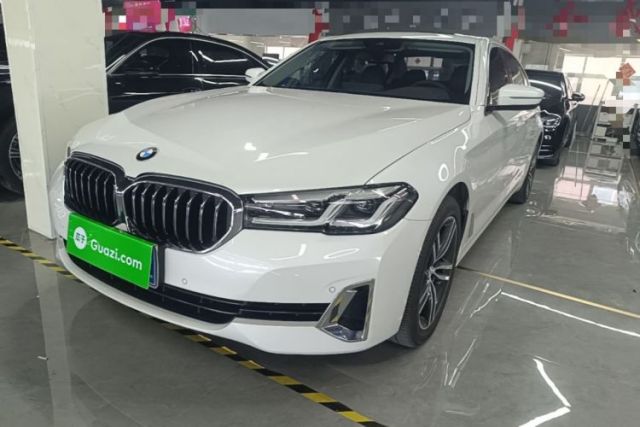 Used BMW 5 Series 2021 530Li Leading Luxury Package