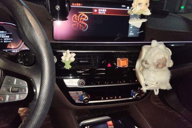 Used BMW 5 Series 2021 525Li Luxury Package Audio And AC Panel
