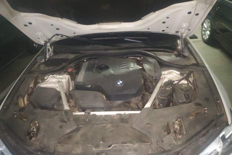 Used BMW 5 Series 2021 530Li Leading Luxury Package Engine Bay