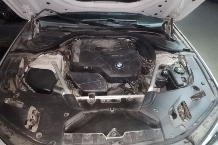 Used BMW 5 Series 2021 Restyled 530Li Luxury Edition M Sport Package Engine Bay