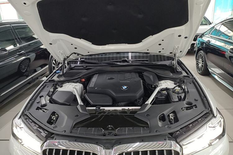 Used BMW 5 Series 2021 530Li Luxury Edition Premium Package Engine Bay
