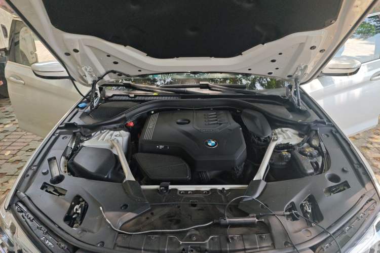 Used BMW 5 Series 2021 530Li Luxury Edition M Sport Package Engine Bay