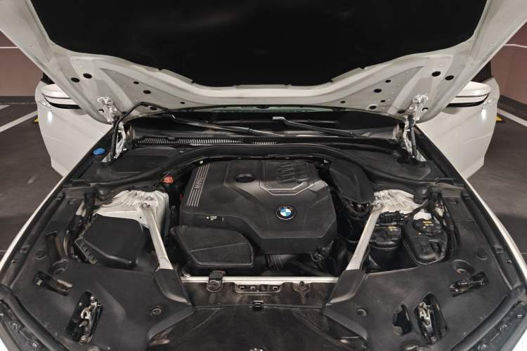 Used BMW 5 Series 2021 530Li Leading Model M Sport Package Engine Bay