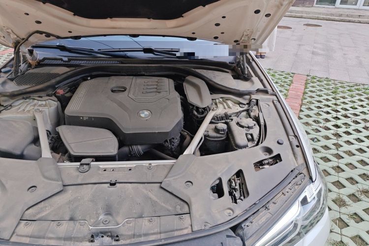 Used BMW 5 Series 2021 530Li Luxury Edition Premium Package Engine Bay Left