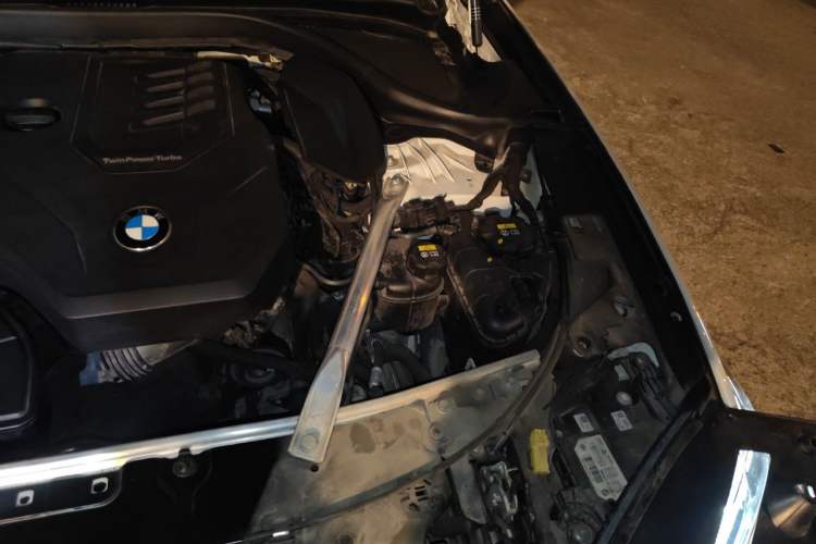 Used BMW 5 Series 2021 530Li Luxury Edition M Sport Package Engine Bay Left