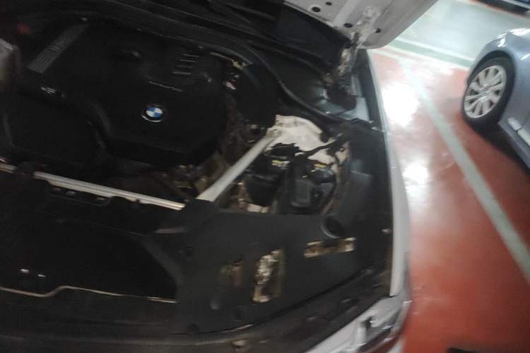 Used BMW 5 Series 2021 530Li Leading Model M Sport Package Engine Bay Left