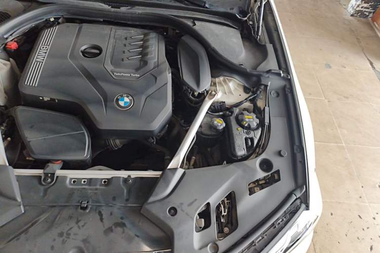 Used BMW 5 Series 2021 Restyled 530Li Leading Edition Luxury Package Engine Bay Left