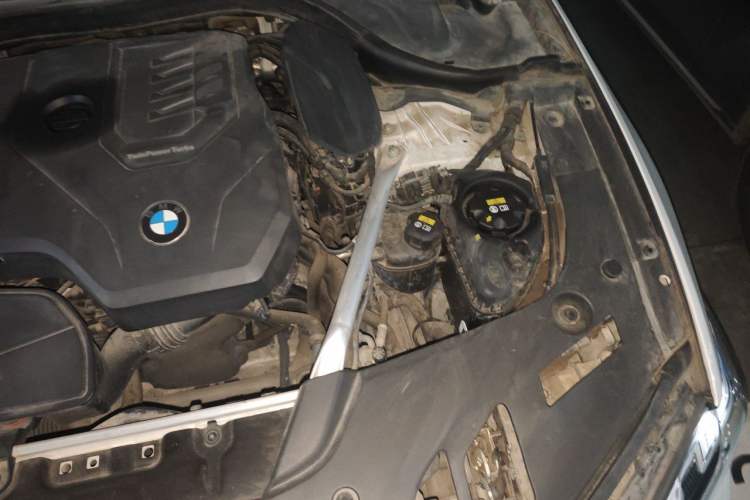 Used BMW 5 Series 2021 530Li Luxury Edition M Sport Package Engine Bay Left