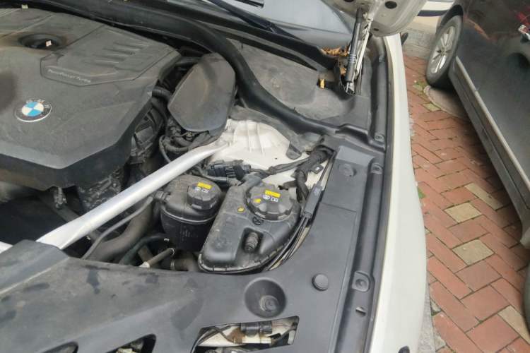 Used BMW 5 Series 2021 530Li Luxury Edition M Sport Package Engine Bay Left