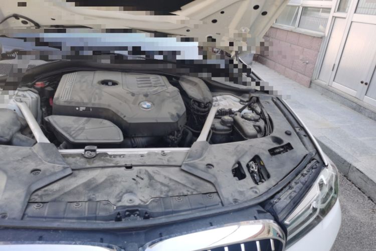 Used BMW 5 Series 2021 530Li xDrive Luxury Package Engine Bay Left