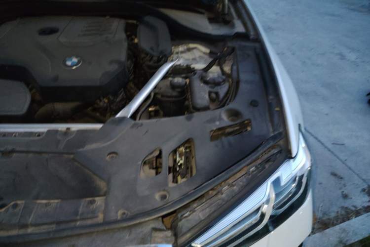 Used BMW 5 Series 2021 530Li Leading Model M Sport Package Engine Bay Left