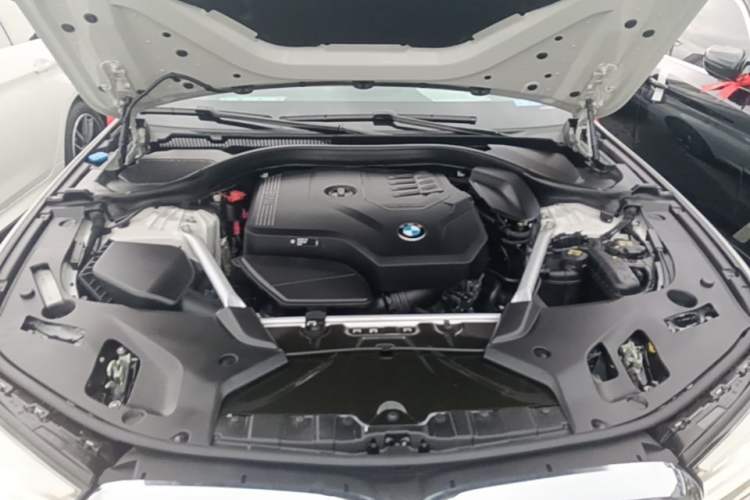 Used BMW 5 Series 2021 530Li Leading Model M Sport Package Engine Bay
