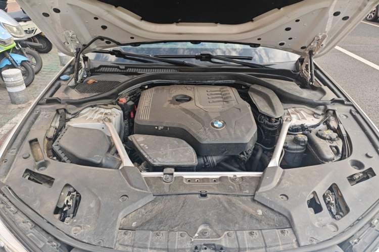 Used BMW 5 Series 2021 530Li Leading Model M Sport Package Engine Bay