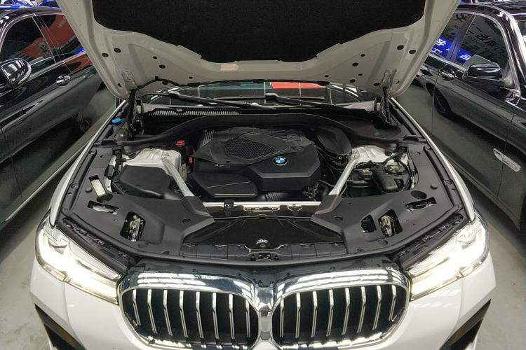 Used BMW 5 Series 2021 530Li Leading Model M Sport Package Engine Bay