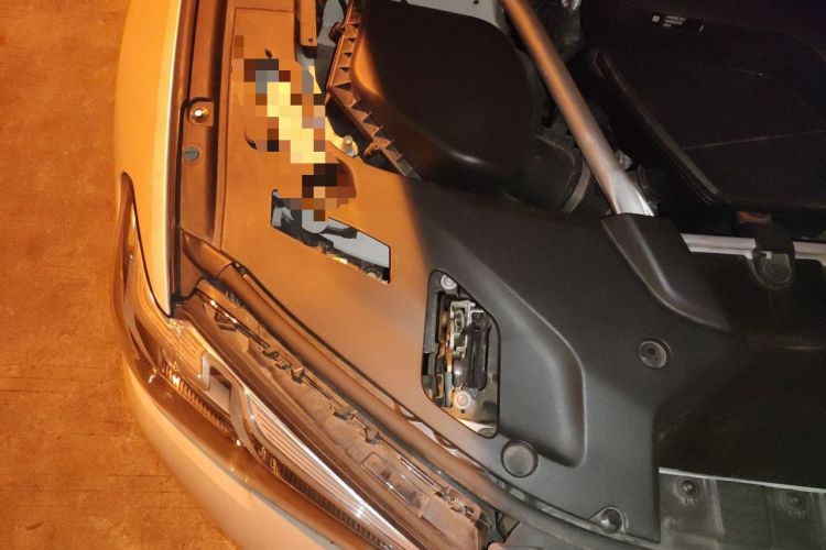 Used BMW 5 Series 2021 Restyled 530Li Leading Edition Luxury Package Engine Bay Right