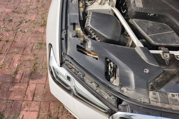 Used BMW 5 Series 2021 530Li Leading Model M Sport Package Engine Bay Right