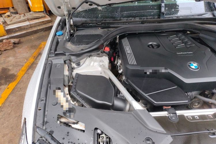 Used BMW 5 Series 2021 530Li Luxury Edition M Sport Package Engine Bay Right
