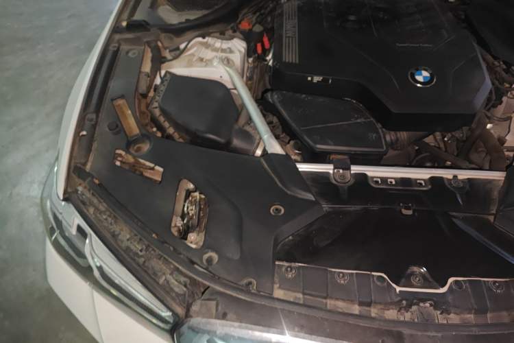 Used BMW 5 Series 2021 530Li Leading Model M Sport Package Engine Bay Right