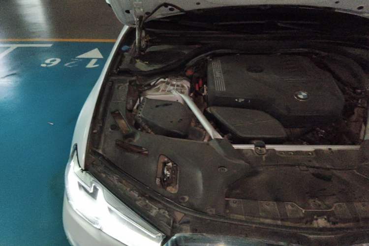 Used BMW 5 Series 2021 Restyled 530Li Leading Edition Luxury Package Engine Bay Right