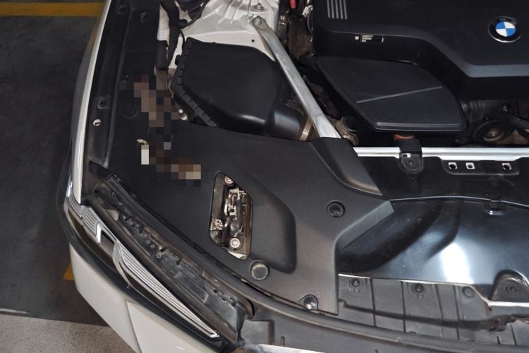Used BMW 5 Series 2021 530Li Luxury Edition M Sport Package Engine Bay Right