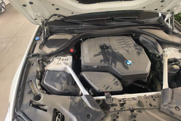 Used BMW 5 Series 2021 530Li Luxury Edition Premium Package Engine Bay Right