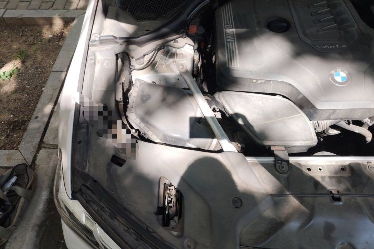 Used BMW 5 Series 2021 Facelifted 530Li xDrive M Sport Package Engine Bay Right