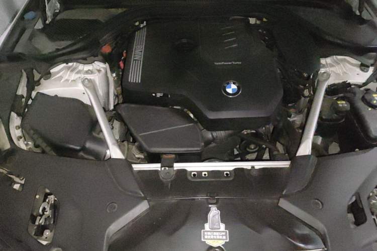 Used BMW 5 Series 2021 530Li Leading Model M Sport Package Engine Bay
