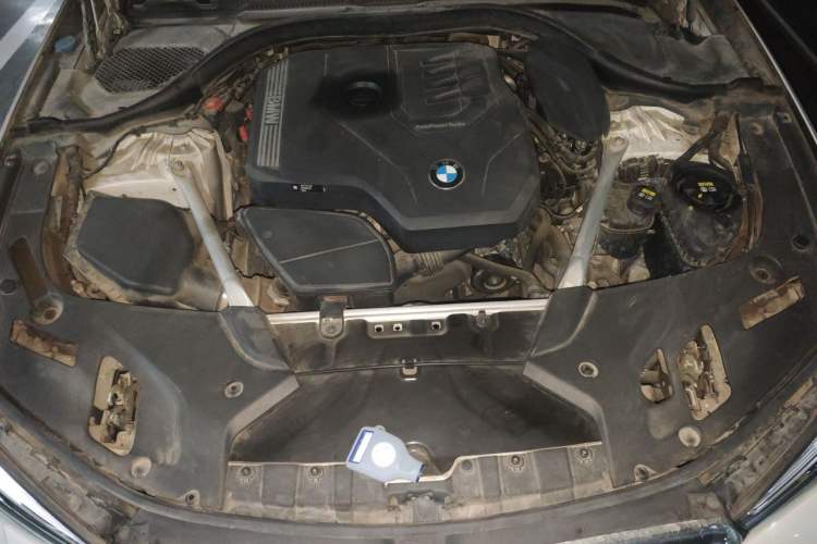 Used BMW 5 Series 2021 530Li Luxury Edition M Sport Package Engine Bay