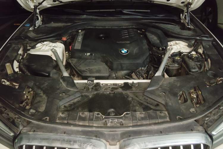 Used BMW 5 Series 2021 530Li Luxury Edition M Sport Package Engine Bay