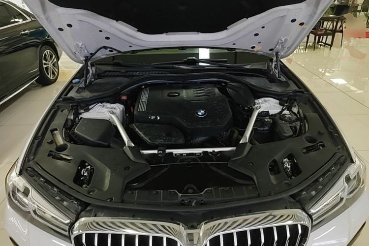 Used BMW 5 Series 2021 Facelifted 530Li Leading Edition M Sport Package Engine Bay