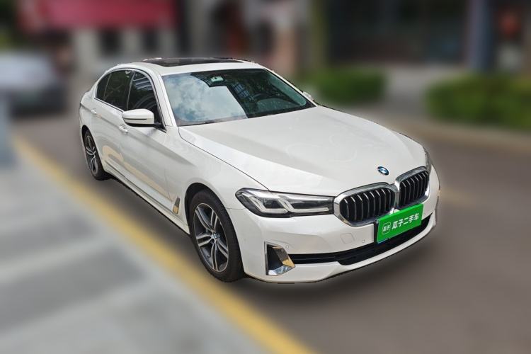 Used BMW 5 Series 2021 530Li Leading Luxury Package Exterior 2